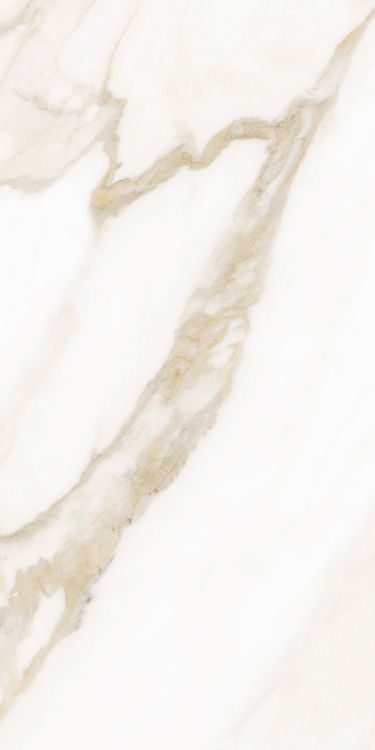 Classy Warm White Matte 12 x 24